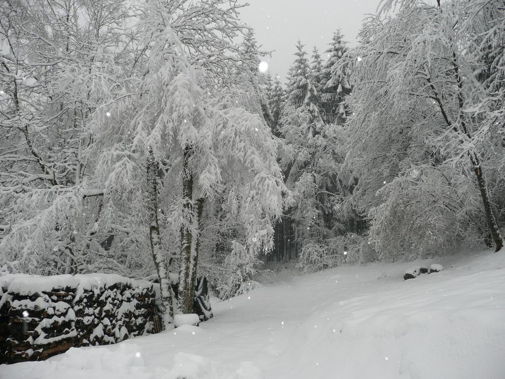 Au Palton Bed & Breakfast Raon-aux-Bois Exterior photo